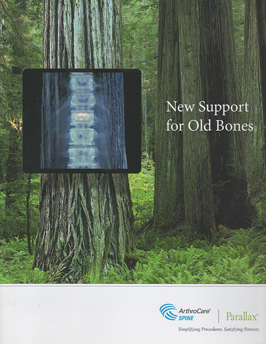 Tree Brochure